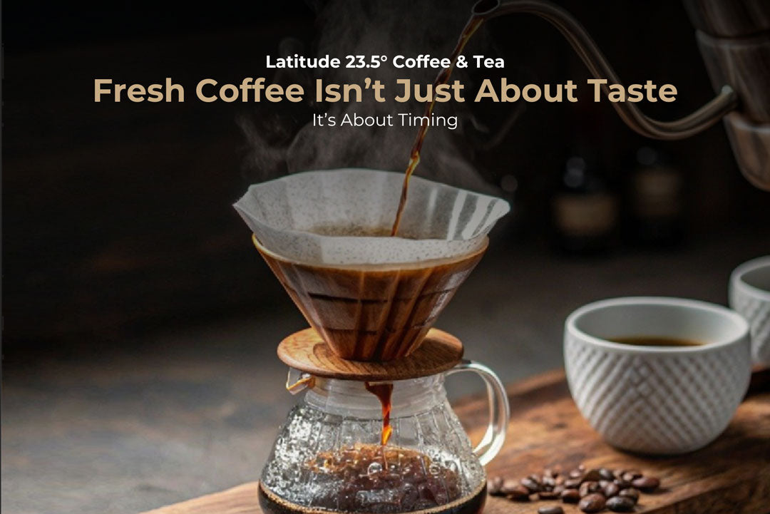 Why Freshly Roasted Coffee Tastes Better (And Why Timing Matters)