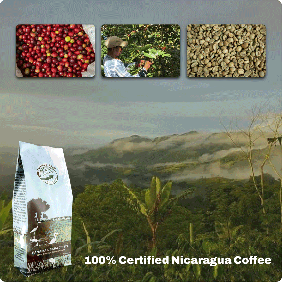 Nicaragua Direct