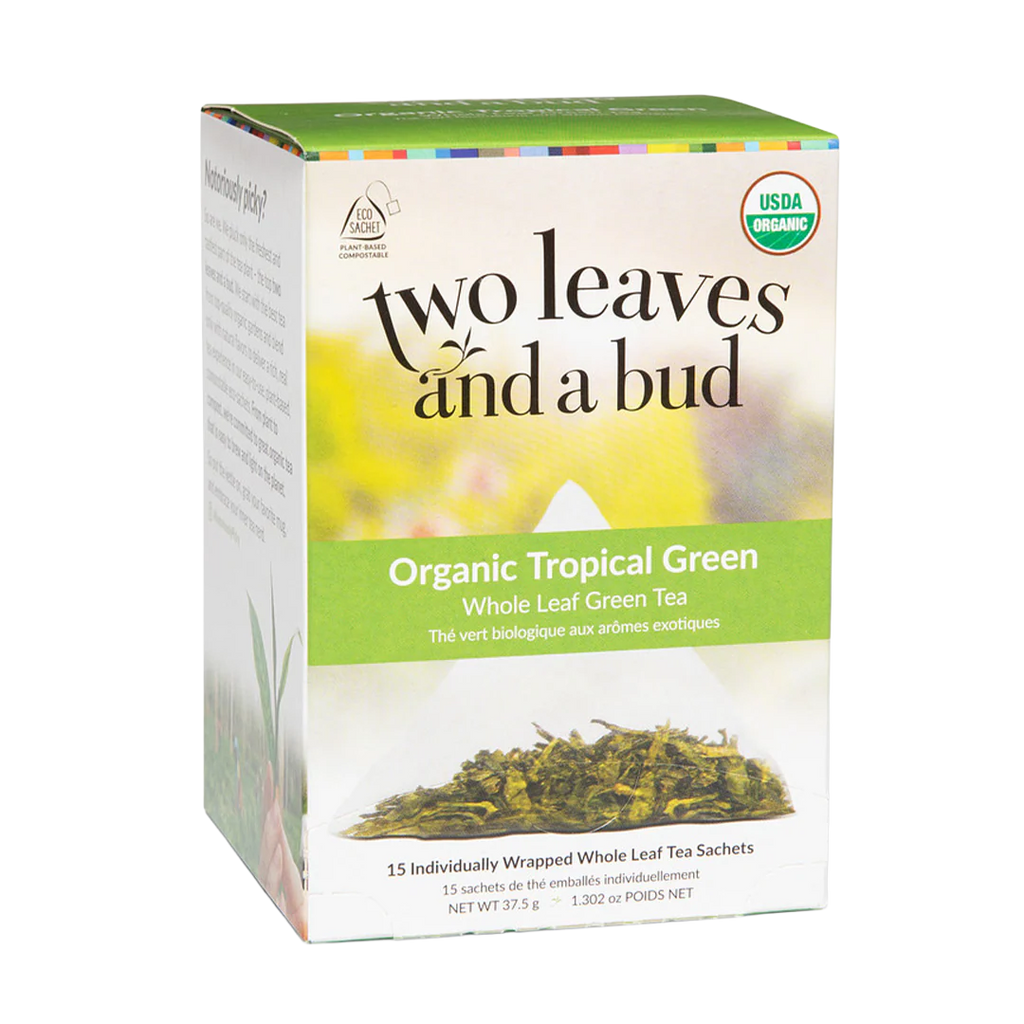 Tropical Green Hot Tea (15 Count Case)