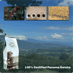Panama Geisha Coffee
